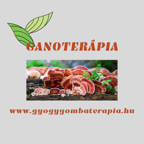 Ganoterápia-Gyógygombaterápia